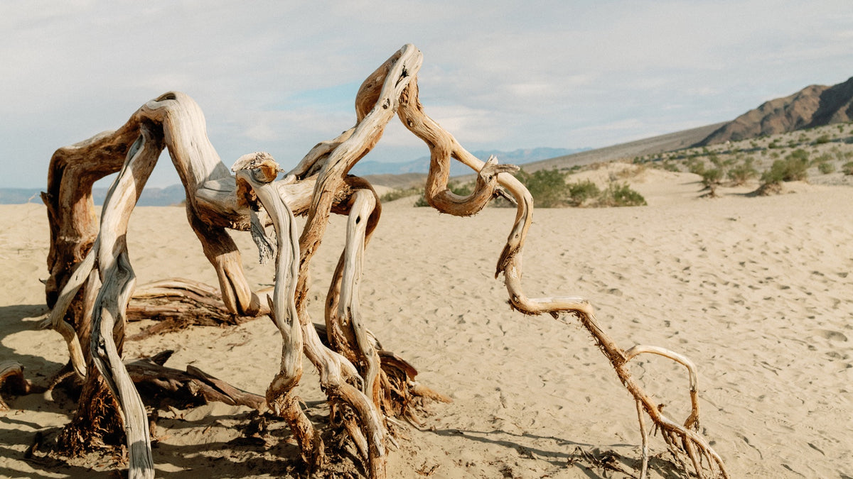 Death Valley photograph 8 of 10 — Meet Me In The Valley Frame TV Collection